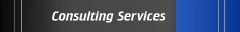 Consulting Services